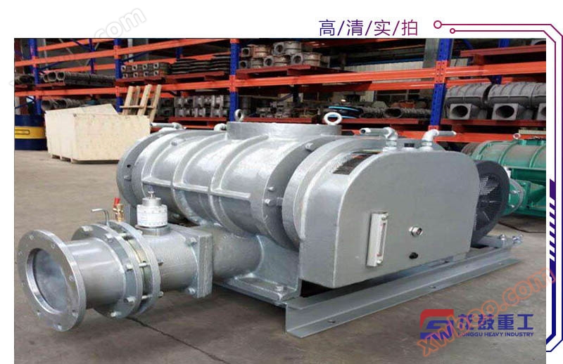 不锈钢罗茨风机