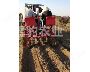 دستگاه آبیاری دو خط سیب زمینی شیرین