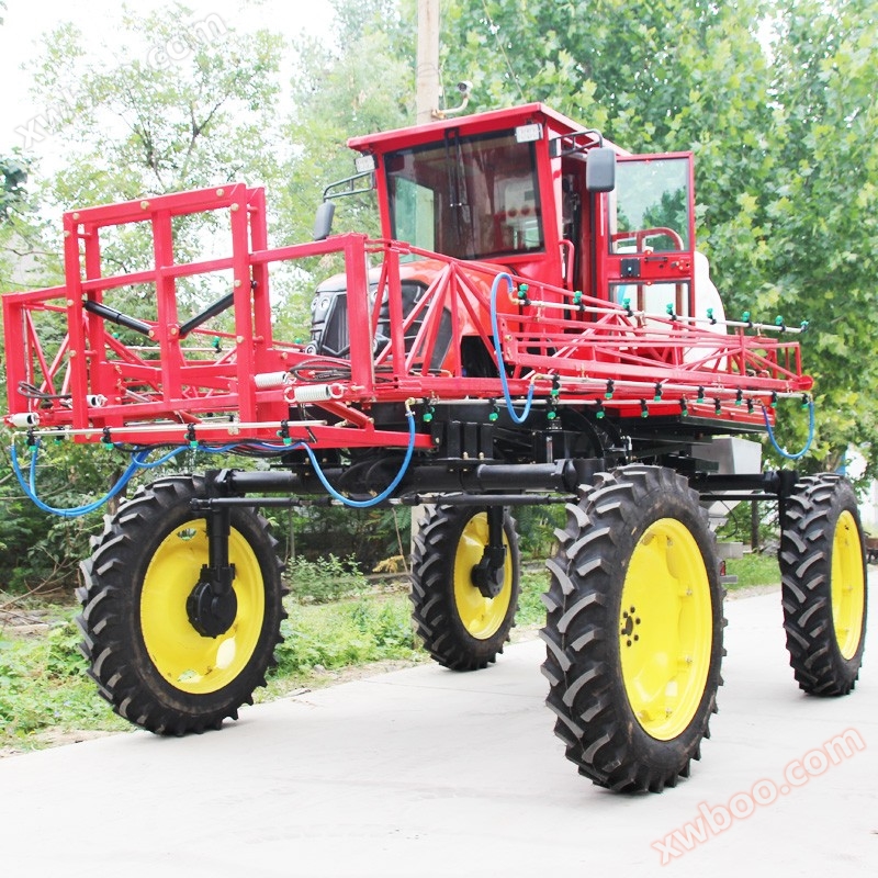 1611564817242316.jpg IMG_2936.jpg