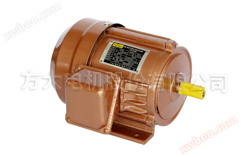 Eén-fase asynchrone motor