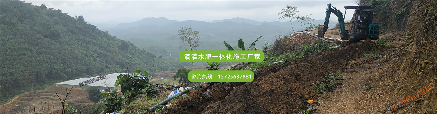 茶园水肥一体化方案设计及清单预算 湖北十堰100亩大棚喷灌施肥机 