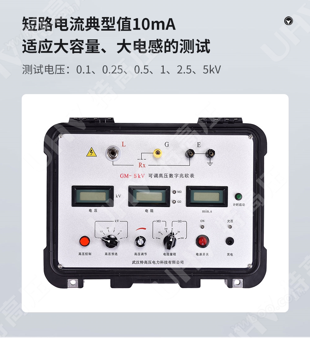 GM-5kV 可调高压数字兆欧表(图3)