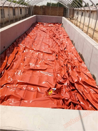 Piscina de biogás de software de poupança de energia