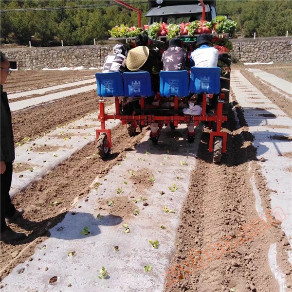よんぎょうベビー野菜移植機