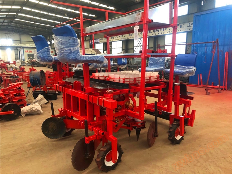 백선피, 백술 이식기