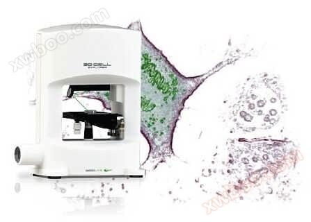 High resolution live cell real-time imaging system