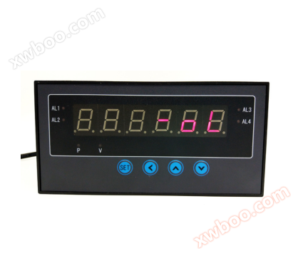 Five digit display weighing control instrument XSEW