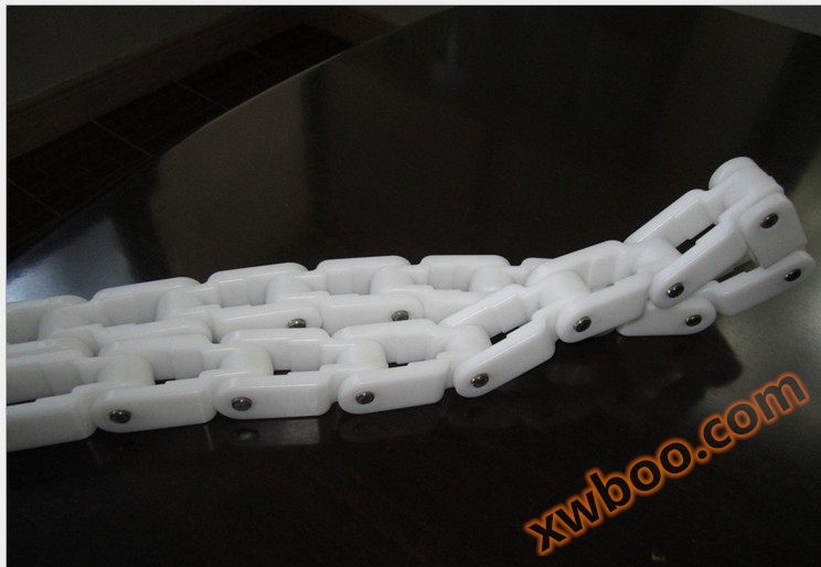 Dragon bone chain
