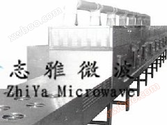 Équipement de stérilisation par micro - ondes pour sauce tomate, Équipement de stérilisation par micro - ondes