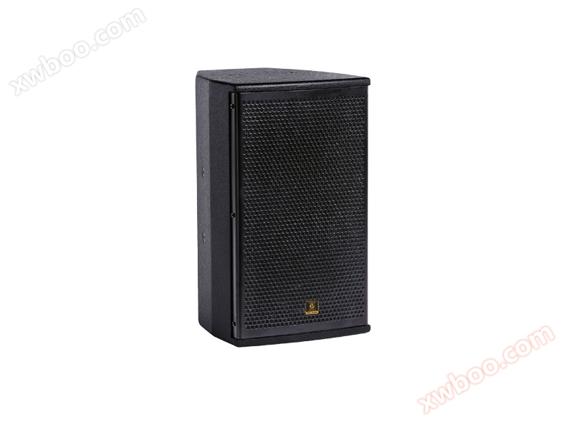 Altoparlanti professionali PS12