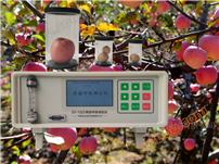 Fruit respiration meter
