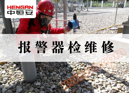 Alarm maintenance service