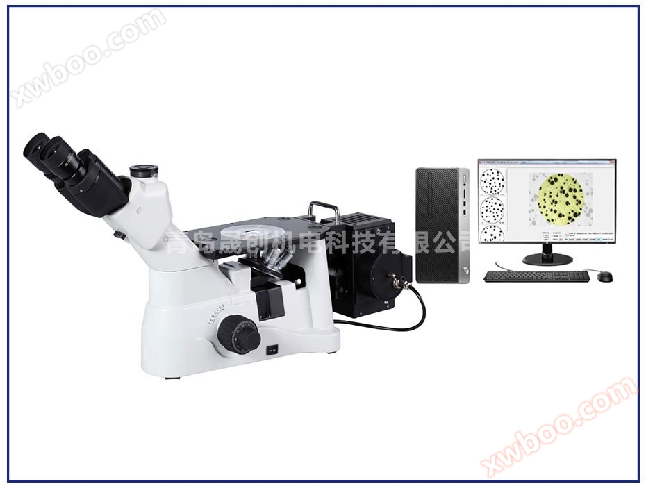 Kính hiển vi kim loại ngược DMI300