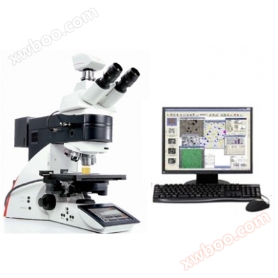 LAMOS Expert 금상 검사 소프트웨어 기술 사양