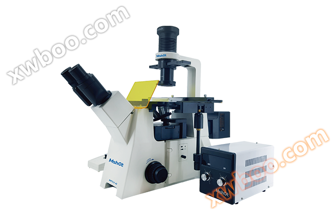 Research grade inverted fluorescence microscope MF53-N