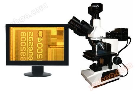 Microscópio metálico digital BE31