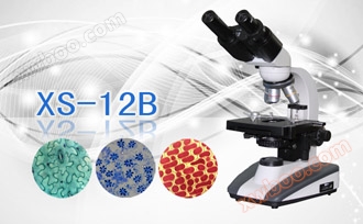 Binocular biological microscope XS-12B