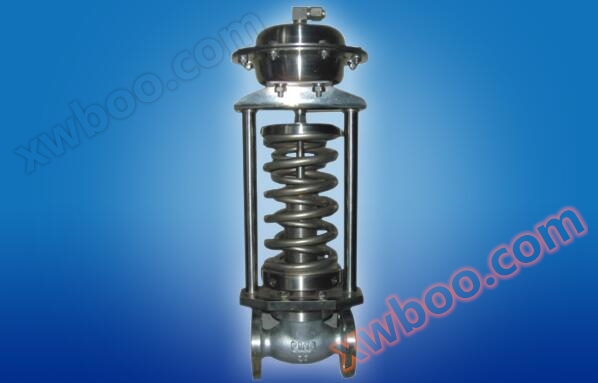 Саморегулюючий клапан (повністю з нержавіючої сталі)