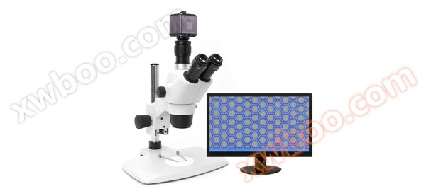 SMZ-171 Stereoscopic Microscope