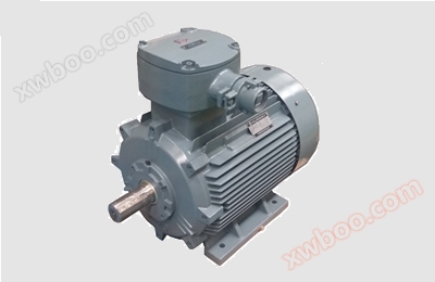 YBE2 series explosion-proof three-phase asynchronous motor