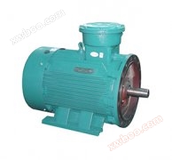 Motor asíncrono de isolamento de explosão da série YB2 (número de assento H63-355)