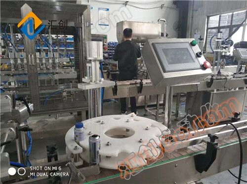 Small bottle rotary capping machine