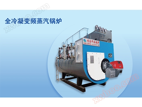 Caldera de vapor de conversión de frecuencia de condensación completa