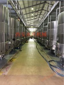 果実酒醸造設備は主に：ブドウ除茎破砕機、発酵タンク、圧搾機、円盤式ろ過機、板枠ろ過機などがある