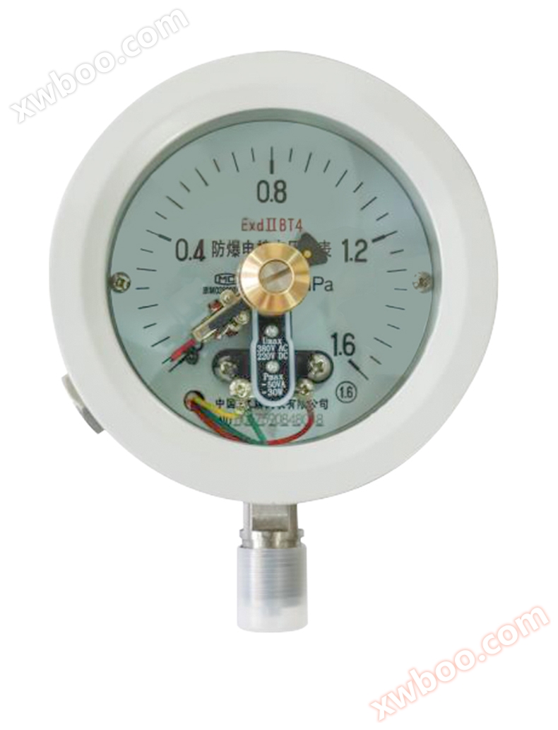 YX-100B Explosion proof Electric Contact Pressure Gauge