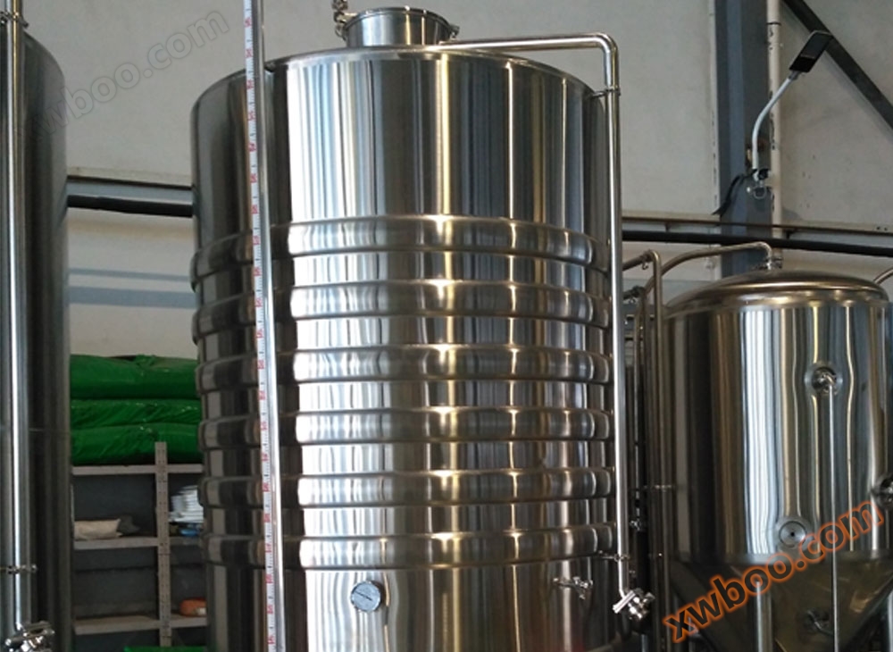 Echipament de vinuri de fructe - rezervoare de fermentare